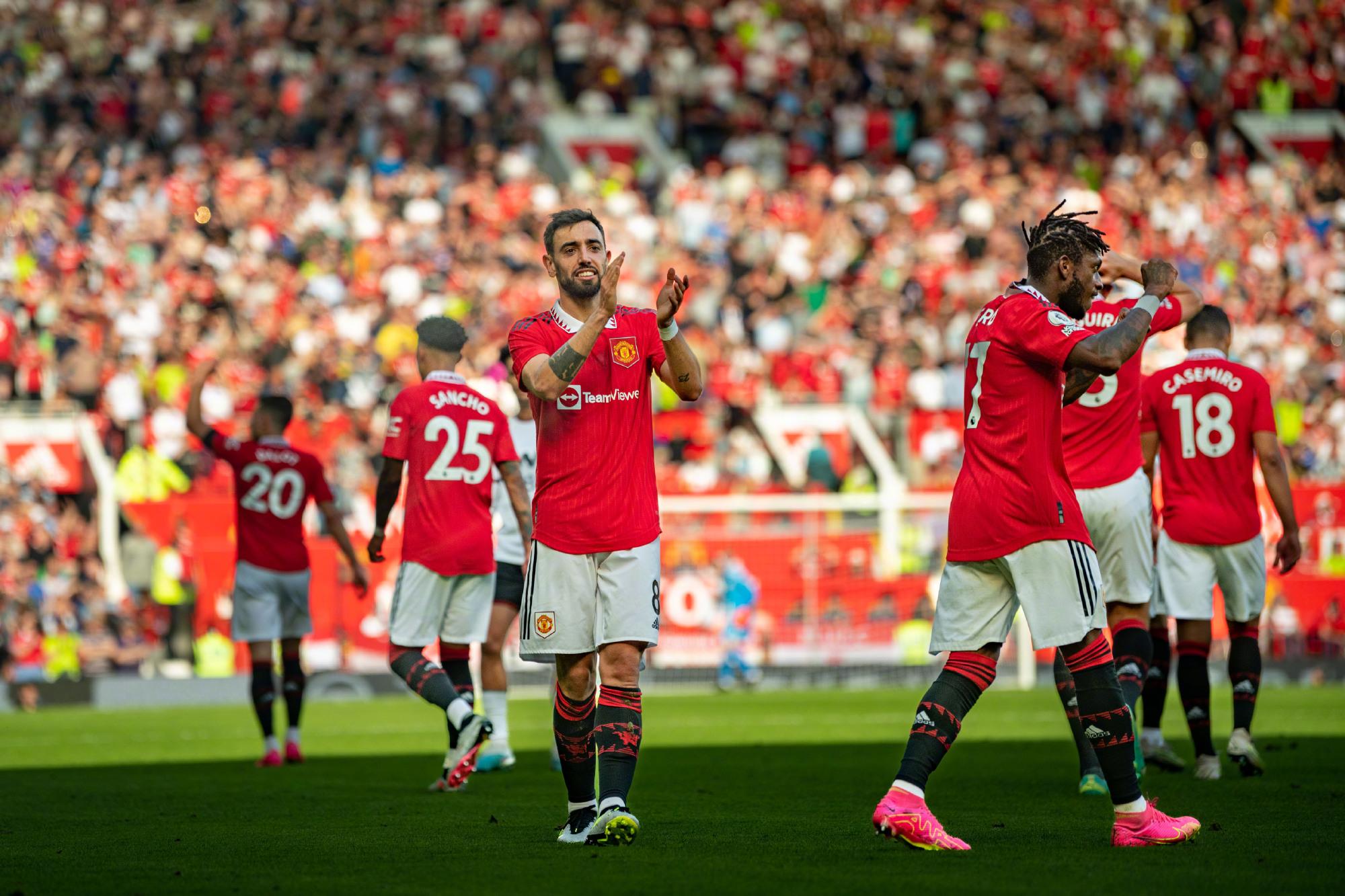 适应周期 适应周期